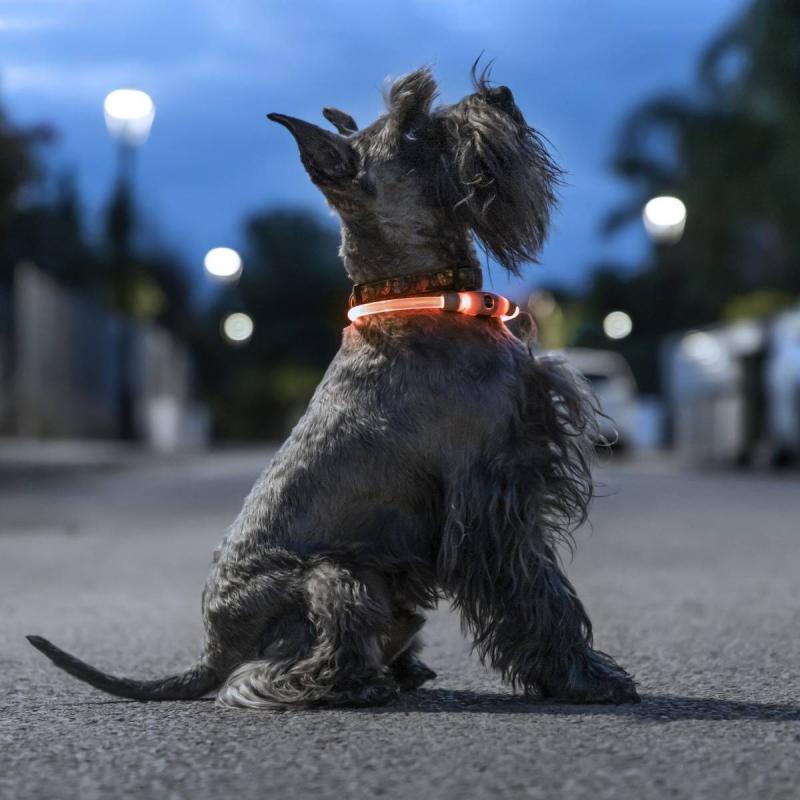 Petlux LED Krave til Hund - Perfekt til Natgåture