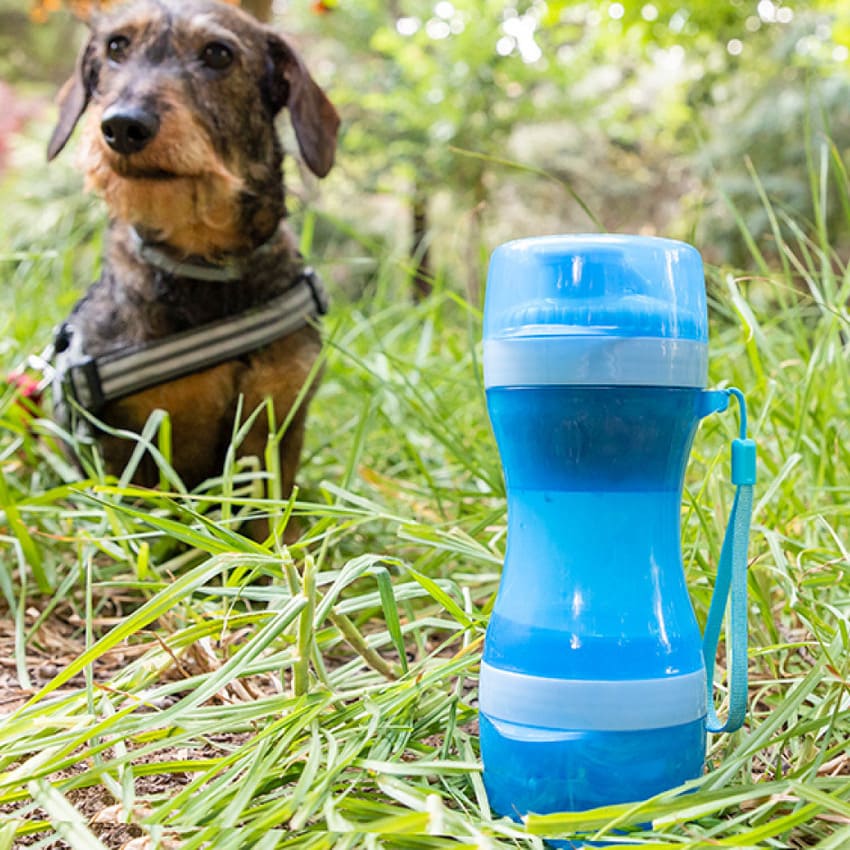 2-i-1 Vand- Og Madbeholder Til Hunden